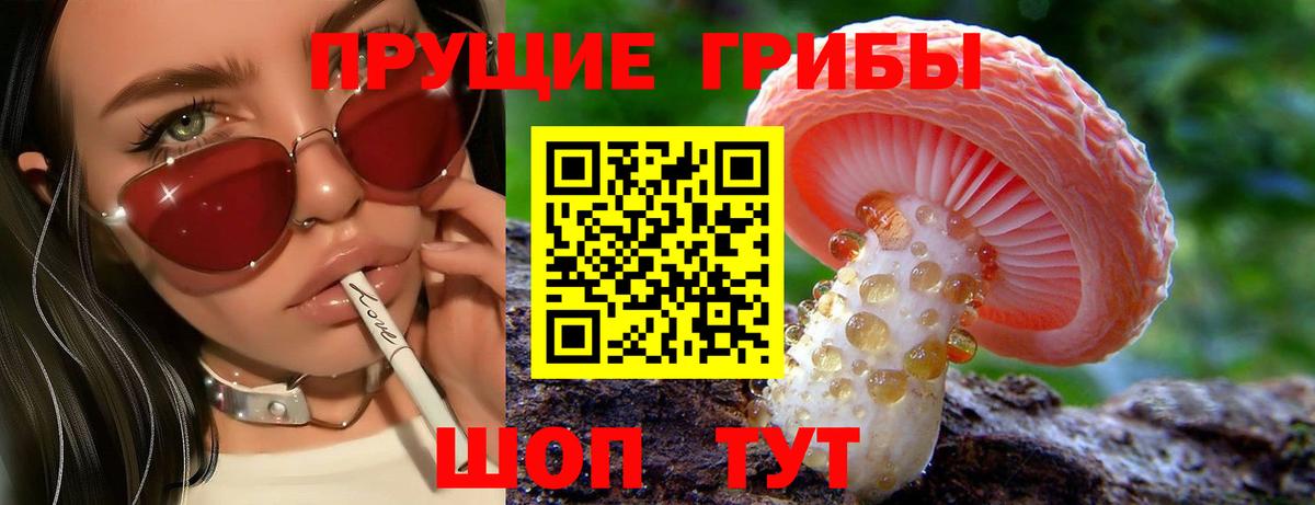 Стрежевой  Псилоцибиновые грибы GOLDEN TEACHER  где продают   Вход с VPN 