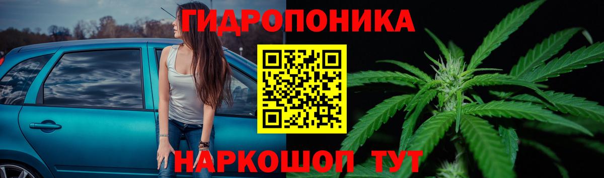 Марихуана OG Kush Стрежевой